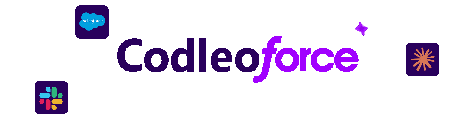 Codleo Salesforce solutions animation